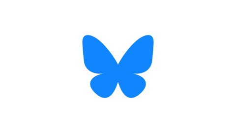 Social media rules could harm small startups, says Bluesky COO