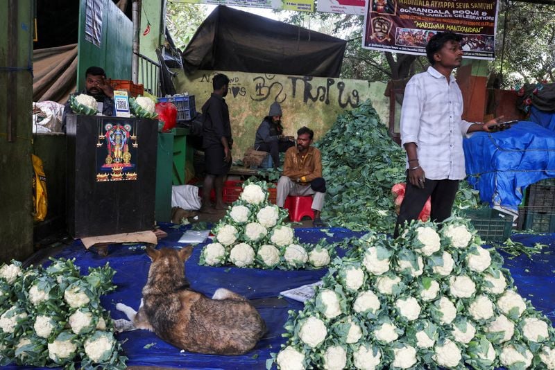 Iran War Costs Mount for Indian Economy, Finances